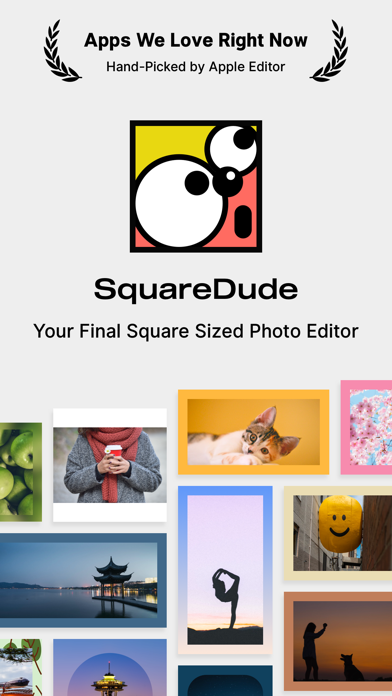 SquareDude screenshot 1