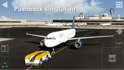Aerofly FS screenshot 10