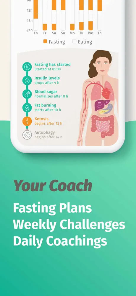 BodyFast screenshot 4
