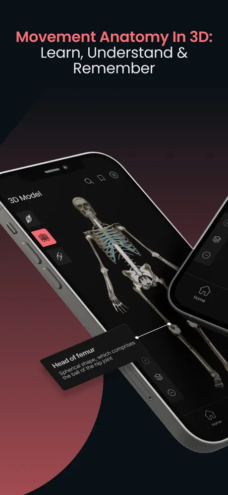 Anatomy screenshot 2