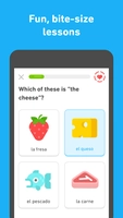 Screenshot 4 of Duolingo++