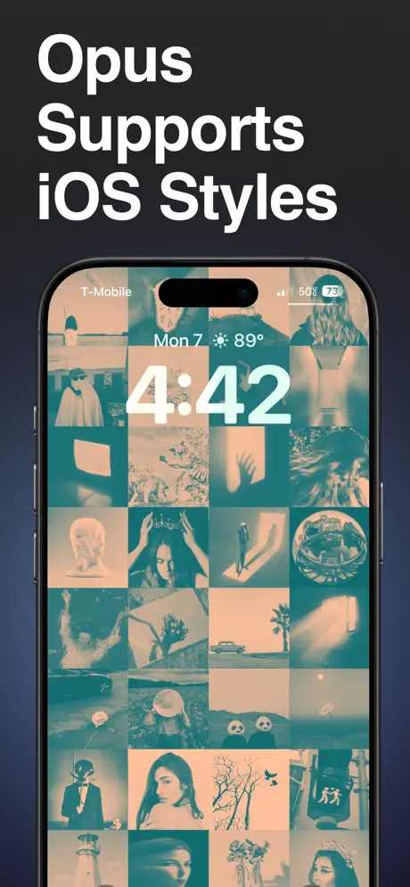 Opus screenshot 5