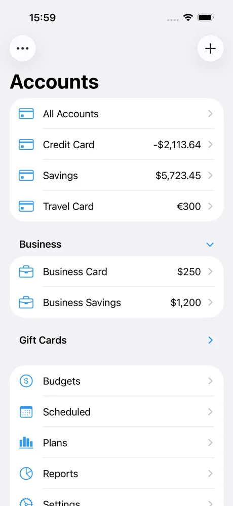 Debit & Credit screenshot 1