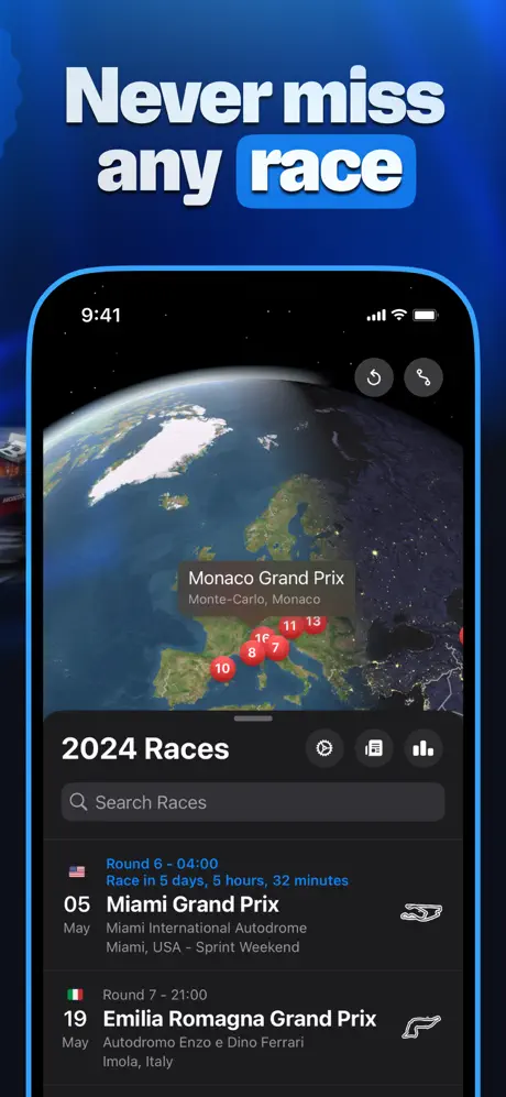 F1 Widgets screenshot 3