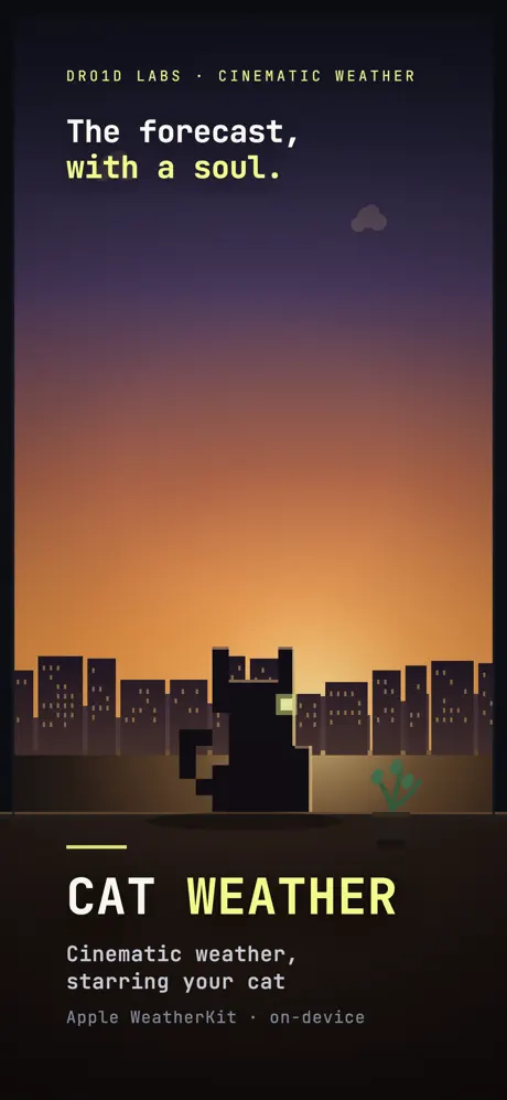 Cat Weather screenshot 5