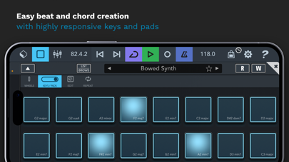 Cubasis 3 screenshot 3