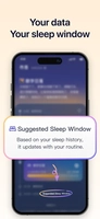 Screenshot 4 of LumiFlow