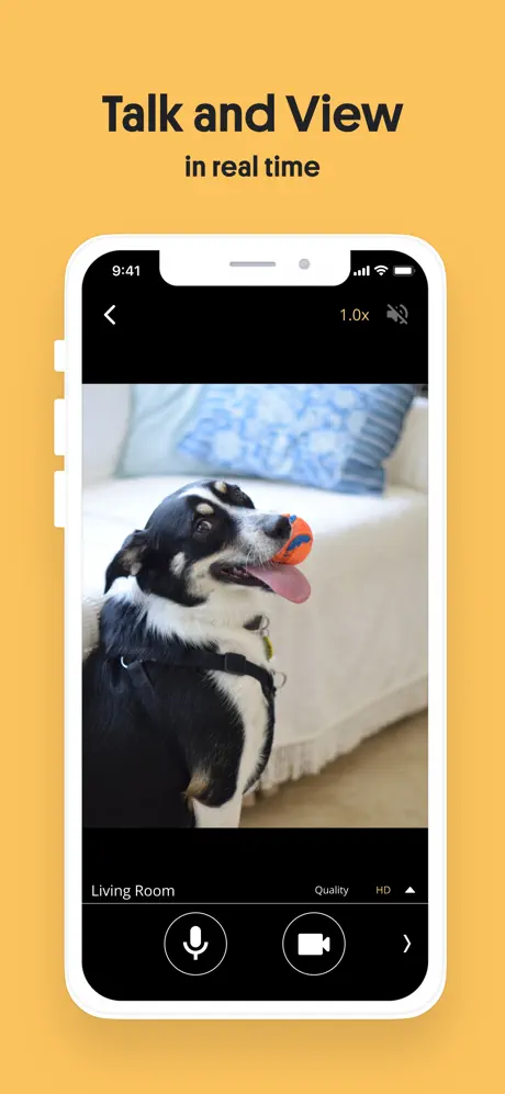 AlfredCamera screenshot 4
