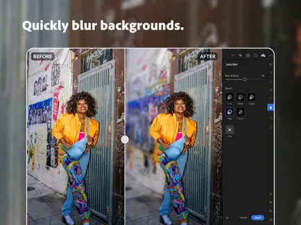 Lightroom screenshot 3