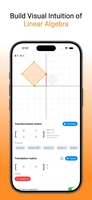 Screenshot 1 of Linear Algebra Visualizer