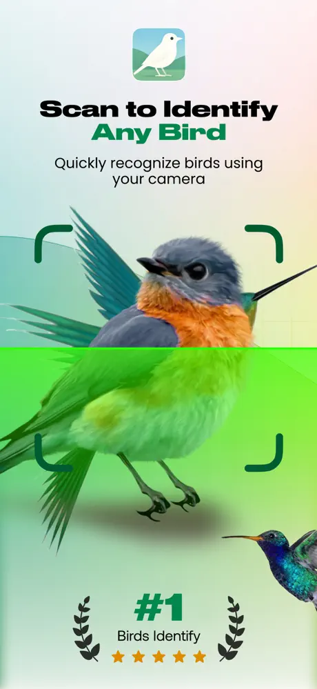 Bird Identifier AI screenshot 1