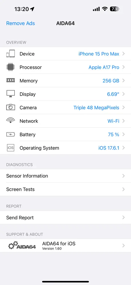 AIDA64 screenshot 1