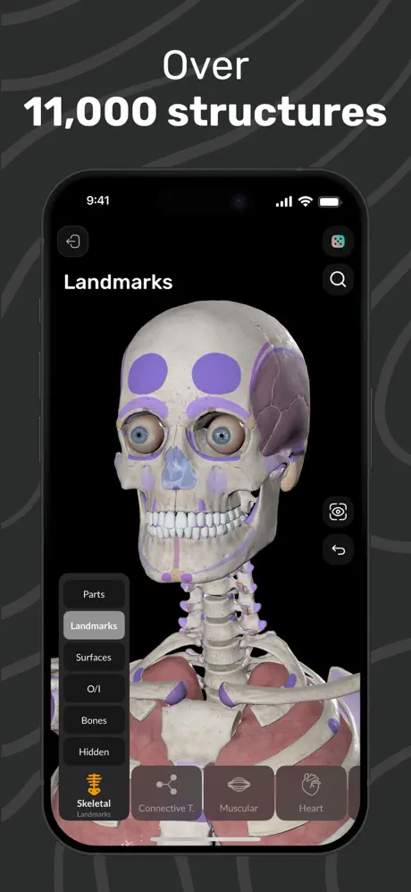 EasyAnatomy3D Public screenshot 3