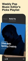 Screenshot 5 of Dtd Playlist