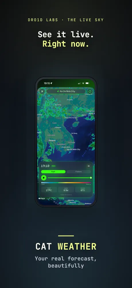 Cat Weather screenshot 4