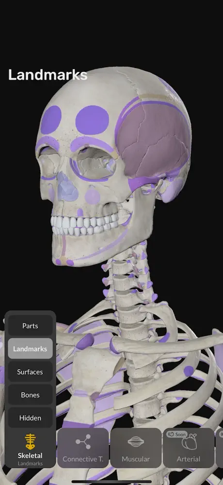 EasyAnatomy3D Public screenshot 1