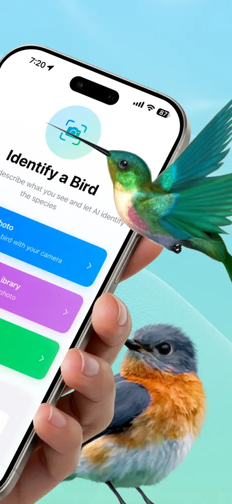 Bird Identifier AI screenshot 2