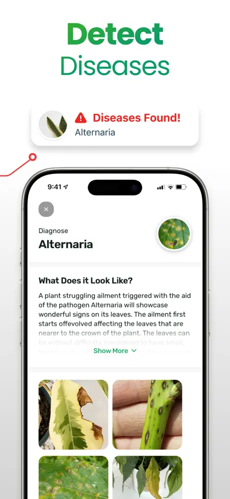 PlantApp screenshot 2