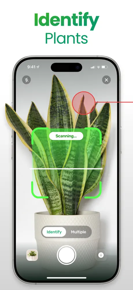 PlantApp screenshot 1