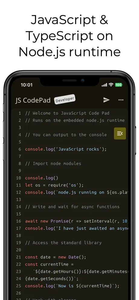 Offline JavaScript and TypeScript IDE for iOS | BuildStore