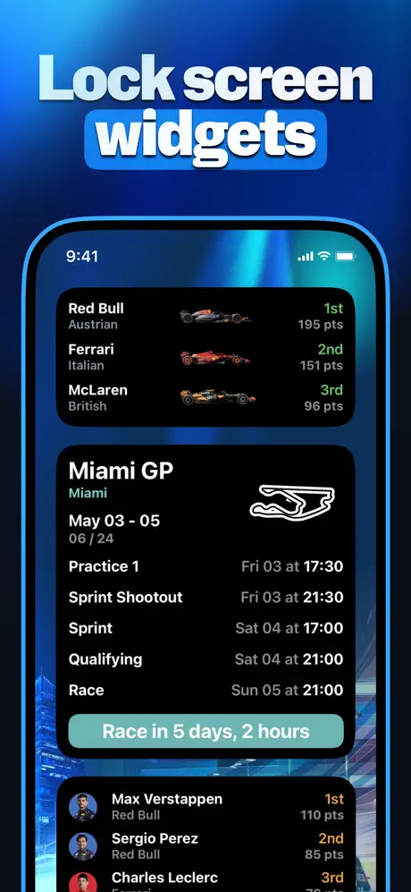 F1 Widgets screenshot 2