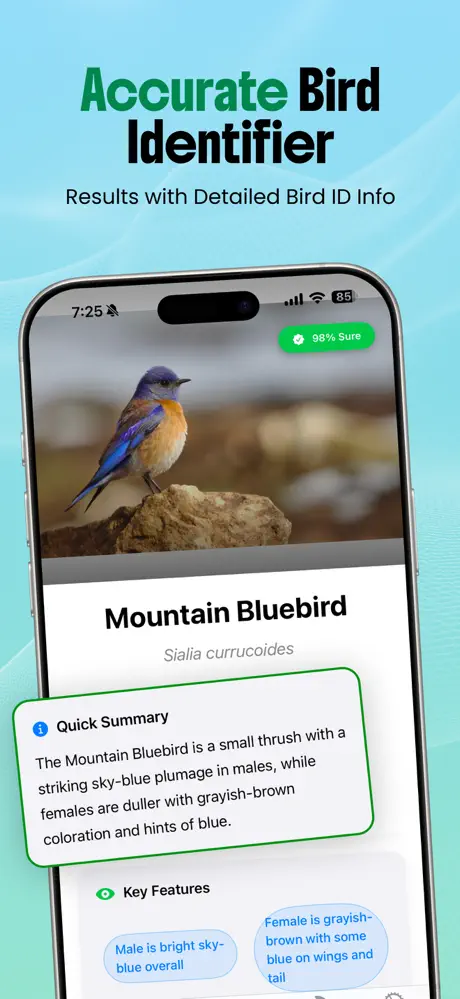 Bird Identifier AI screenshot 3