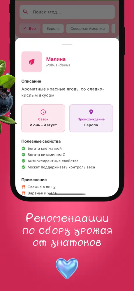 Ягодный Фест screenshot 5