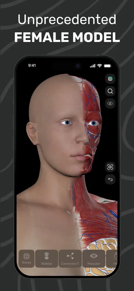 EasyAnatomy3D Public screenshot 2
