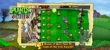PvZ screenshot 2