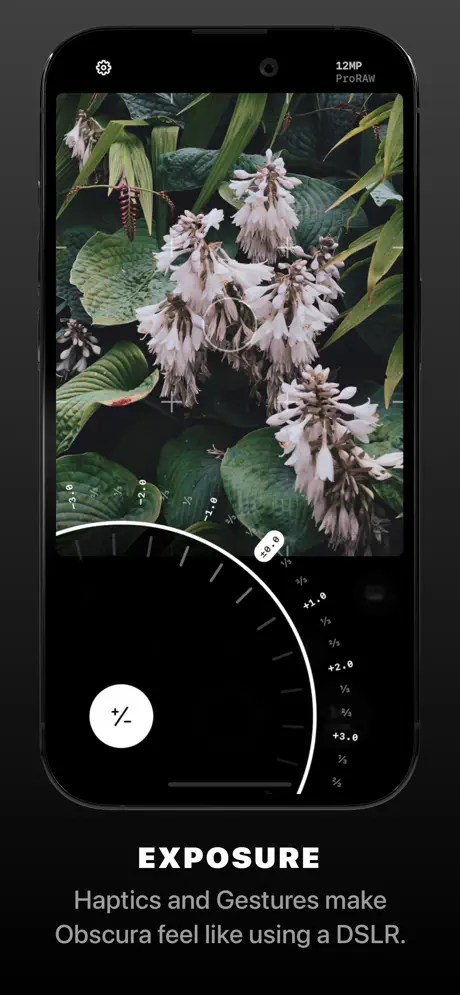 Obscura screenshot 3
