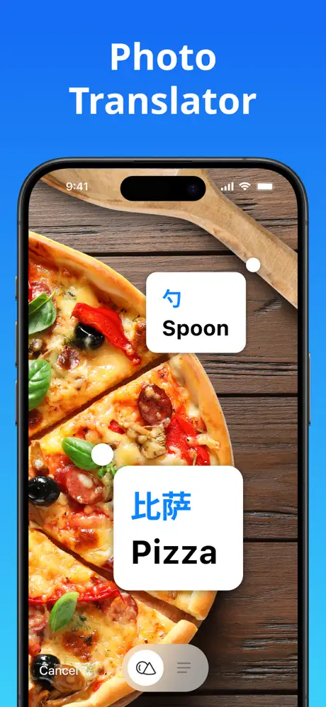 Translate Now screenshot 3