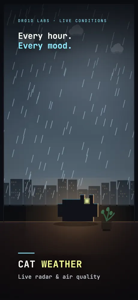 Cat Weather screenshot 1