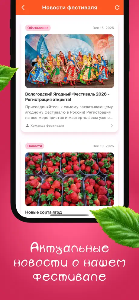 Ягодный Фест screenshot 3