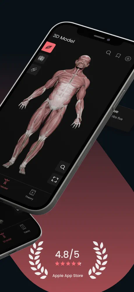Anatomy screenshot 3