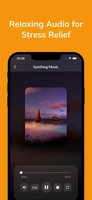 Screenshot 3 of Phoenix