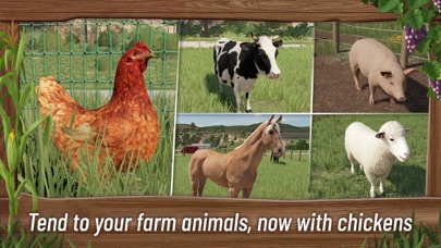 FS 23 screenshot 3