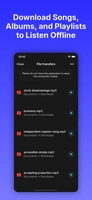 Screenshot 2 of Evermusic
