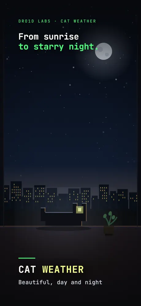 Cat Weather screenshot 3