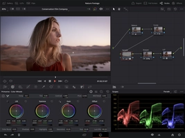 Screenshot 4 of DaVinci Resolve for iPad