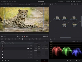 Screenshot 1 of DaVinci Resolve for iPad
