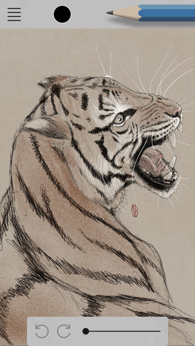 Draw Every Day screenshot 2