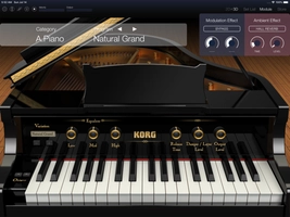 Screenshot 4 of KORG Module Pro