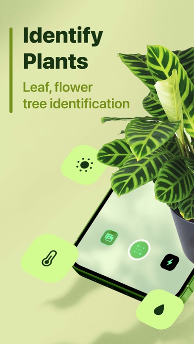 Leaf Identification screenshot 5