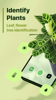 Screenshot 5 of Leaf Identification