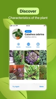 Screenshot 3 of Leaf Identification