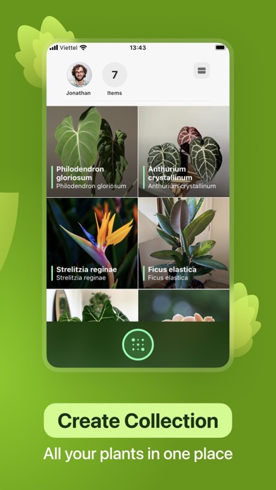 Leaf Identification screenshot 2