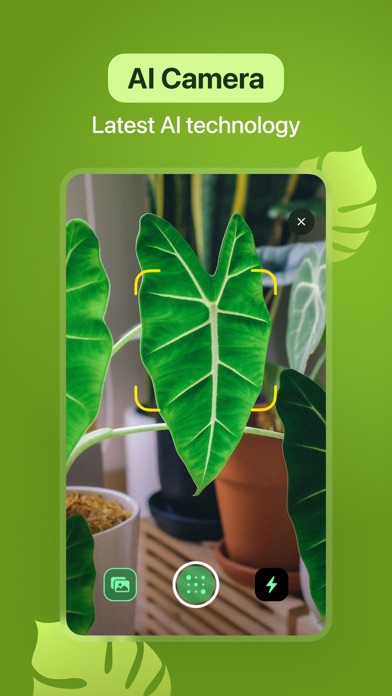 Leaf Identification screenshot 1
