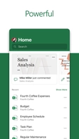Screenshot 4 of Microsoft Excel