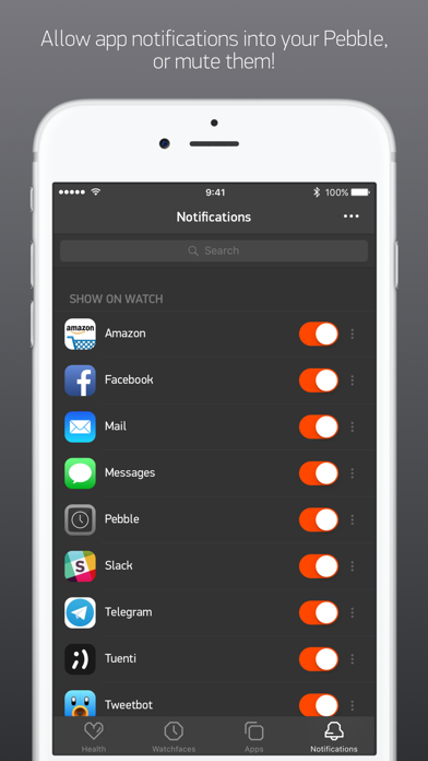 Pebble screenshot 2