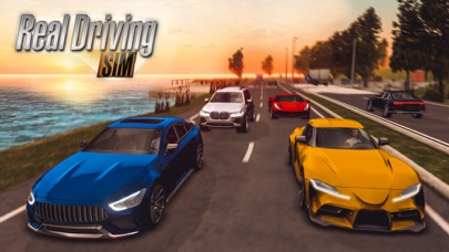 Real Driving Sim Hack screenshot 5